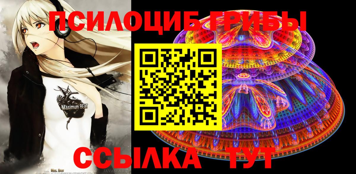 Аргун  сколько стоит  Вход с VPN  Галлюциногенные грибы Magic Shrooms 