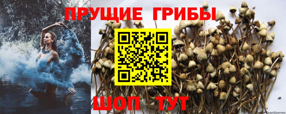 Кодеин Аргун